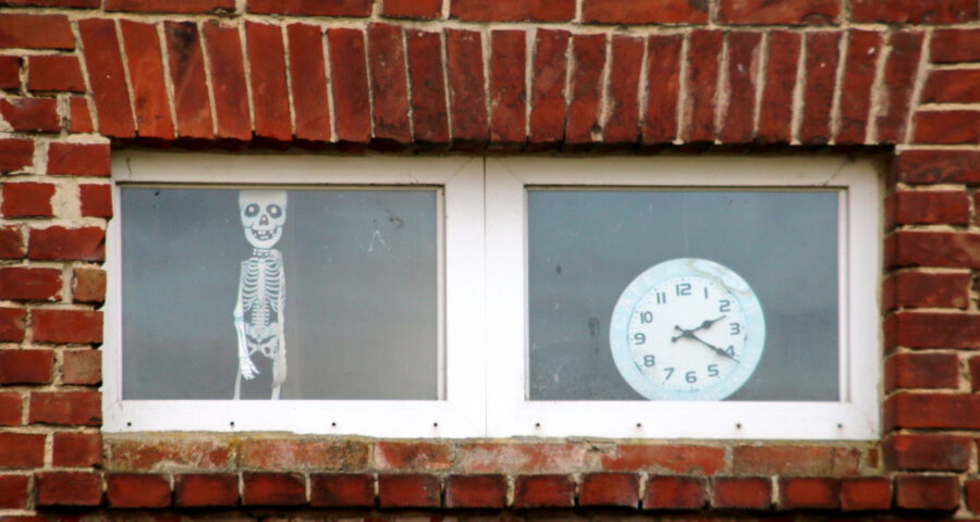 Momento Mori - Foto: © Martina Berg (www.kuriosetierwelt.de)